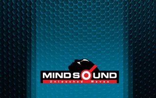 Mind Sound Brand Identity
